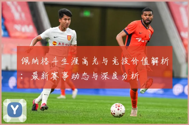 佩纳格斗生涯高光与竞技价值解析：最新赛事动态与深度分析